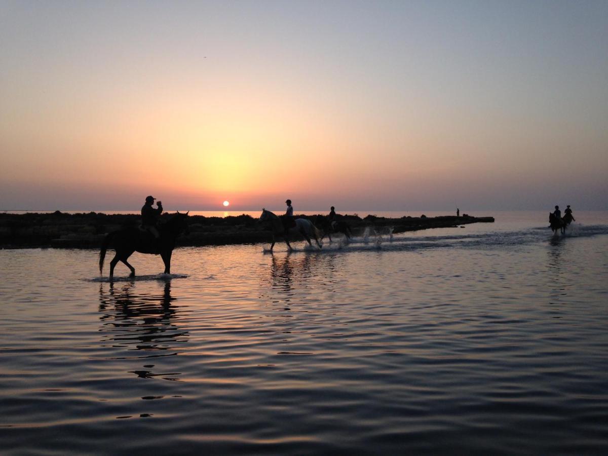Al Vecchio Pontile B&B Relax Fronte Mare A Marsala Bed & Breakfast Marsala