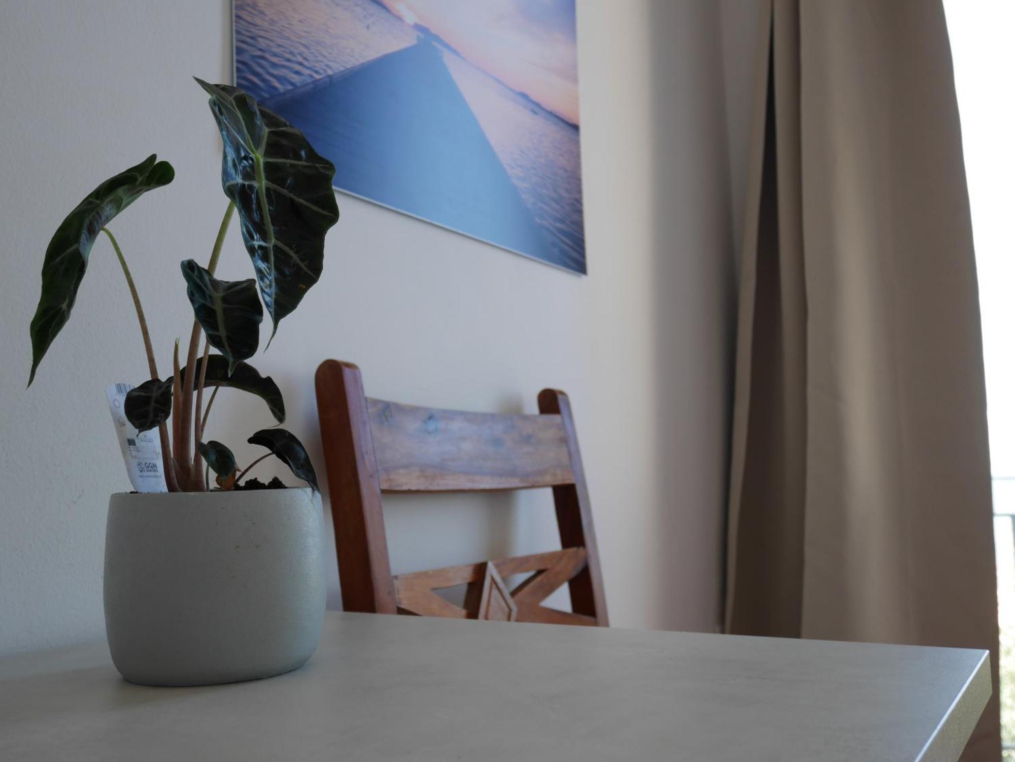 Bed & Breakfast Al Vecchio Pontile