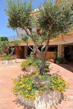 Al Vecchio Pontile B&B Relax Fronte Mare A Marsala Bed & Breakfast